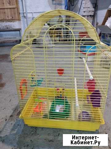 Клетка для птиц большая + игрушки Улан-Удэ - изображение 1