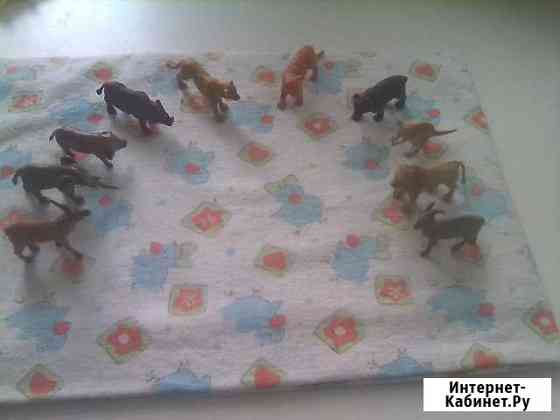 Зоопарк Кемерово