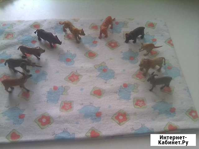 Зоопарк Кемерово - изображение 1