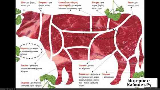 Домашняя говядина Быки на мясо Волосово