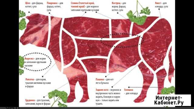 Домашняя говядина Быки на мясо Волосово - изображение 1