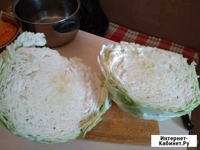 Капуста Назарово - изображение 1