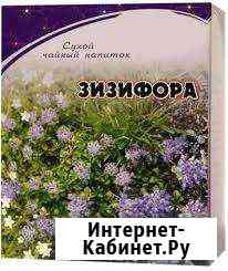 Чай из зизифоры (горной мяты), алтайский Томск