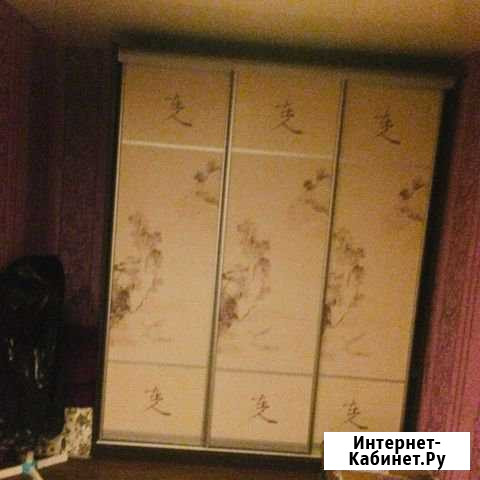 Шкаф-купе Маркс - изображение 1