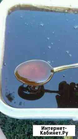 Мед Алтайский Бийск