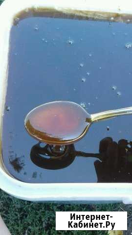 Мед Алтайский Бийск - изображение 1