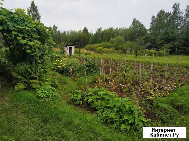 Дача 50 кв.м. на участке 16 сот. Приамурский - изображение 1
