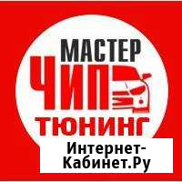 Диагностика и Чип тюнинг (прошивка эбу) автомобиле Железногорск - изображение 1