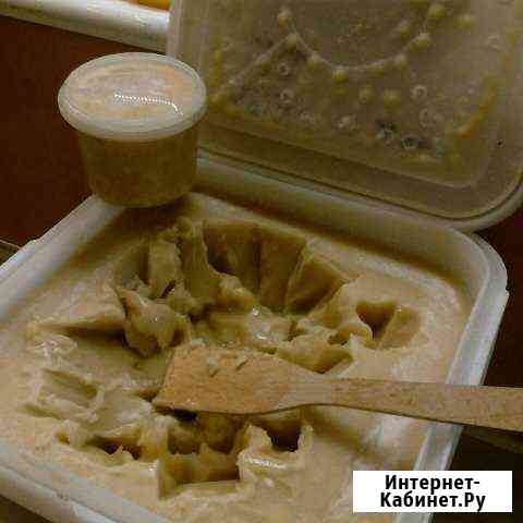 Свежий мёд подсолнечниковый Томск