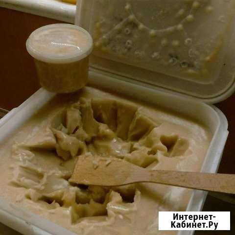 Свежий мёд подсолнечниковый Томск - изображение 1