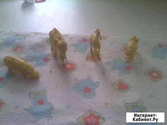 Животные СССР Кемерово