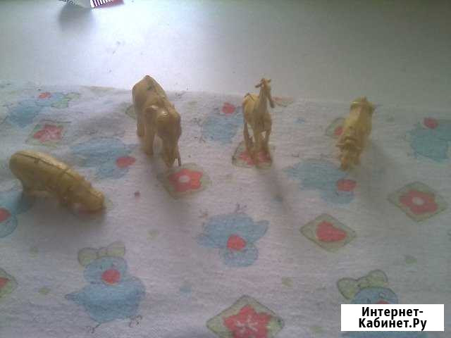 Животные СССР Кемерово - изображение 1