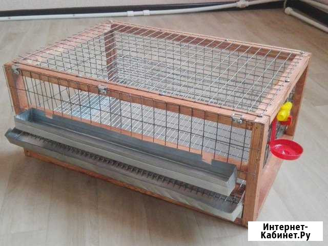 Клетки для перепелов, птицы, вольеры, птичники Новосибирск - изображение 1