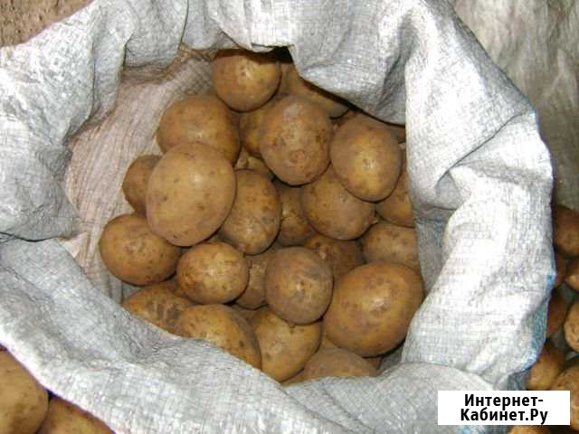 Картофель,чеснок Кулебаки - изображение 1