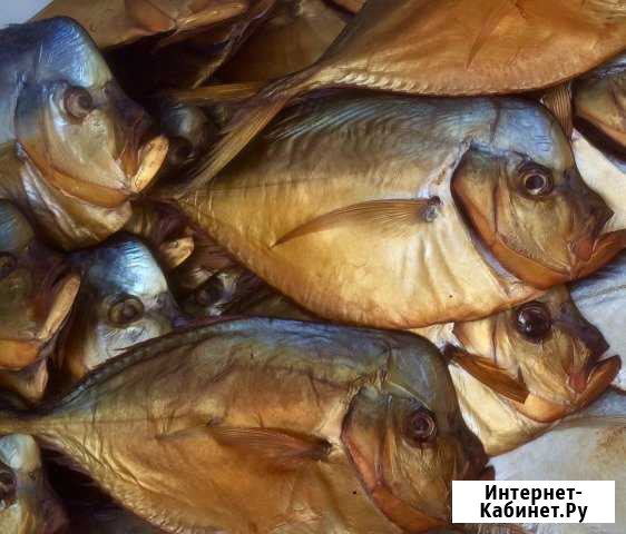 Вомер крупный (луна) х/к Сочи - изображение 1