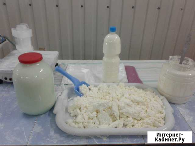 Молочные продукты Северская - изображение 1