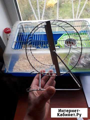 Колесо без белки для хомяков, мышей (не для людей) Нижний Новгород - изображение 1