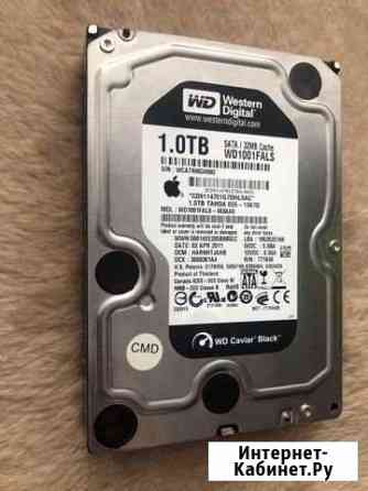 Жёсткий диск 3.5 sataii Western Digital (1000 Gb) Киселевск