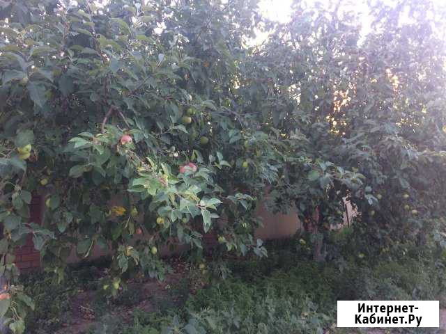 Участок 8 сот. (СНТ, ДНП) Воронеж - изображение 1