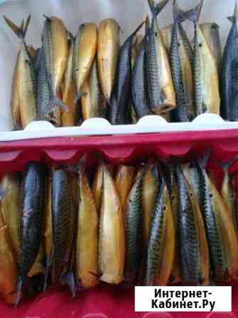 Скумбрия холодного копчения крупная Сочи