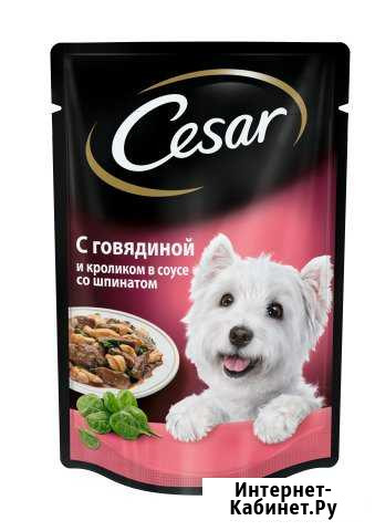 Корм для собак Цезарь Бесплатная доставка Калининград - изображение 1