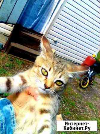 Девочка Краснодар