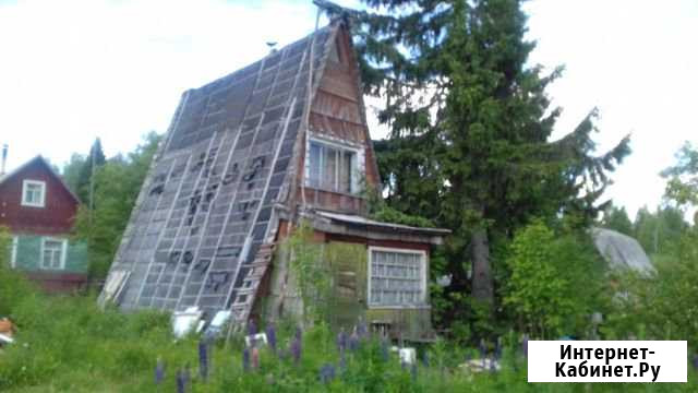 Участок 15 сот. (СНТ, ДНП) Петрозаводск - изображение 1