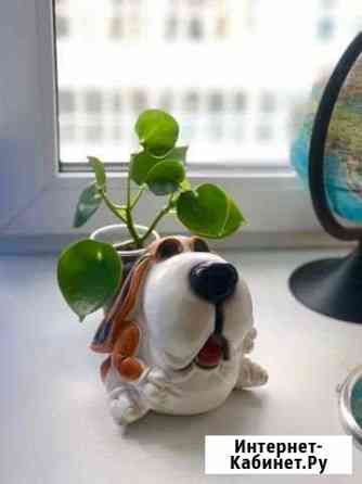 Большая копилка Собака Курган