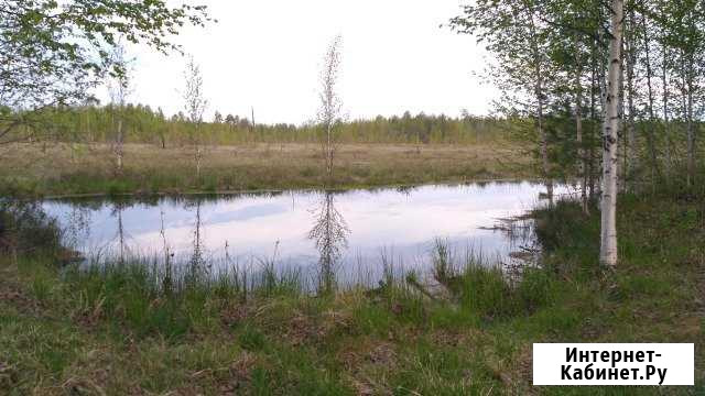 Участок 12 сот. (СНТ, ДНП) Нижневартовск - изображение 1