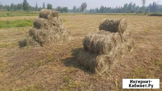 Сено в рулонах Вихоревка - изображение 1