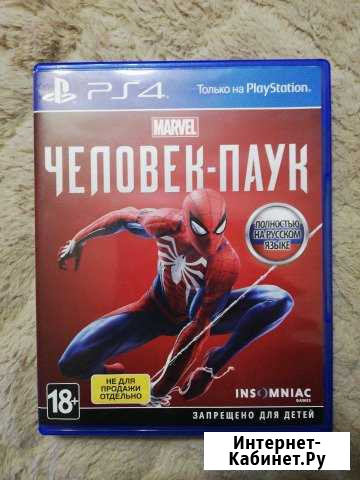Человек-паук Дорогобуж - изображение 1