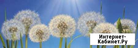 Фотообои Одуванчики Томск - изображение 1