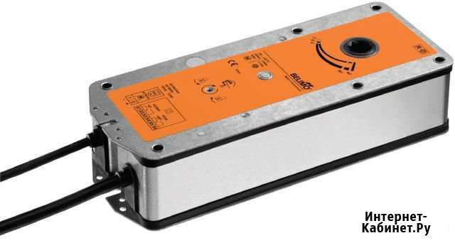 Belimo BF230 Мосрентген - изображение 1