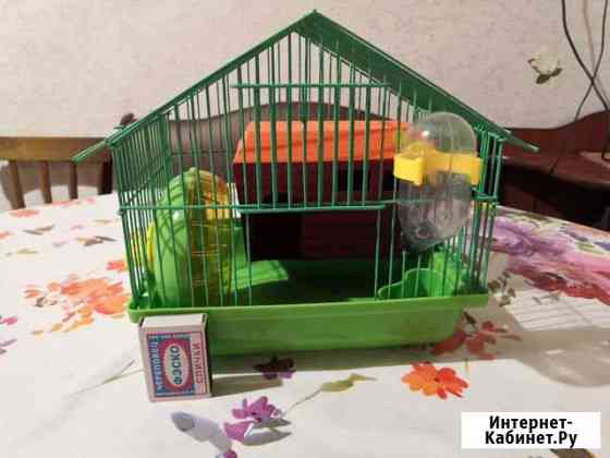 Клетка для мелких животных Вологда