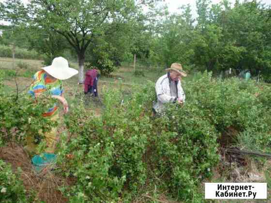 Участок 4 сот. (СНТ, ДНП) Анапа