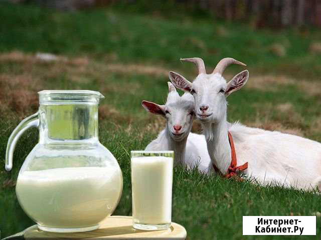 Продукт питания Старый Оскол - изображение 1