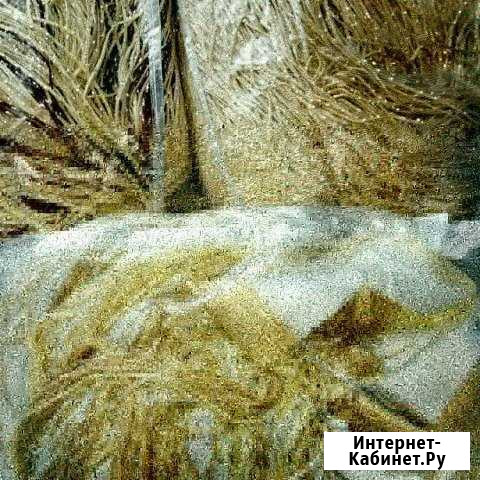 Нитяные шторы Оренбург - изображение 1