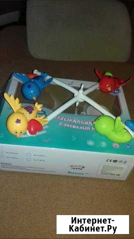 Музыкальная карусель Липецк - изображение 1