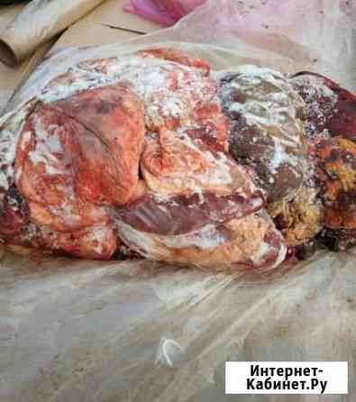 Мясо тех, зачистка Краснодар