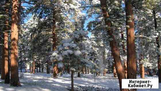 Участок 95.6 сот. (ИЖС) Екатеринбург