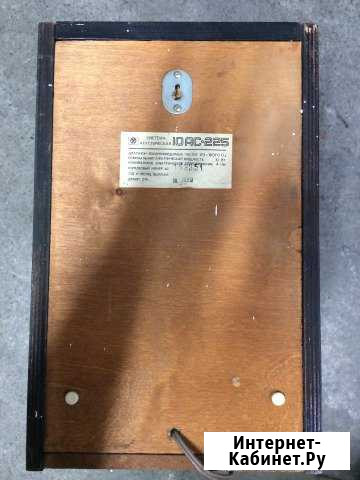 Продам колонки СССР 10ас-225 Инской - изображение 1