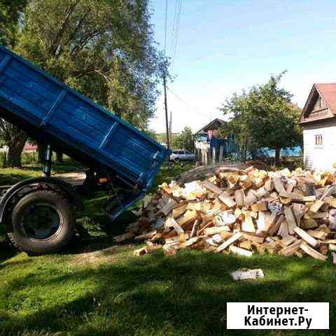 Берёза колотая Ульяновск