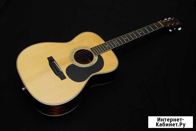 Акустическая гитара Aria Drednought AF-65N Артем - изображение 1