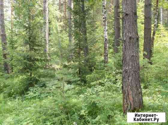 Участок 6 сот. (СНТ, ДНП) Дивногорск