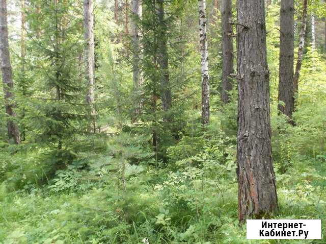 Участок 6 сот. (СНТ, ДНП) Дивногорск - изображение 1