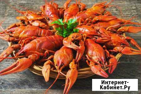 Раки живые, вареные Тоцкое - изображение 1