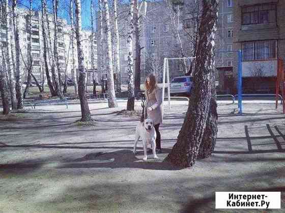 Передержка животных Мурино
