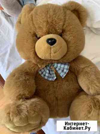 Медведь сост идеаьное Томск