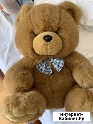 Медведь сост идеаьное Томск - изображение 1