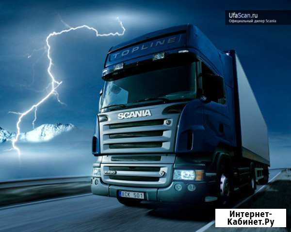 Автоэлектрик с выездом Санкт-Петербург - изображение 1